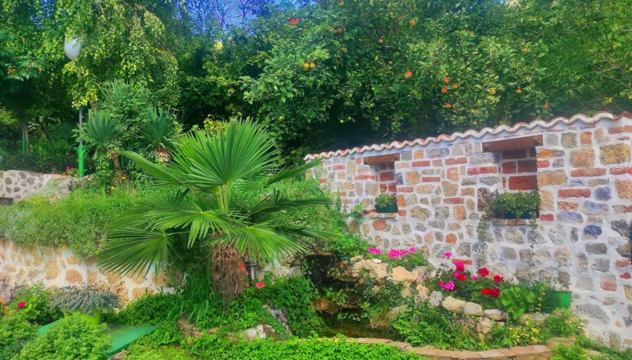 Villa Forest Paradise Ohrid Exteriör bild