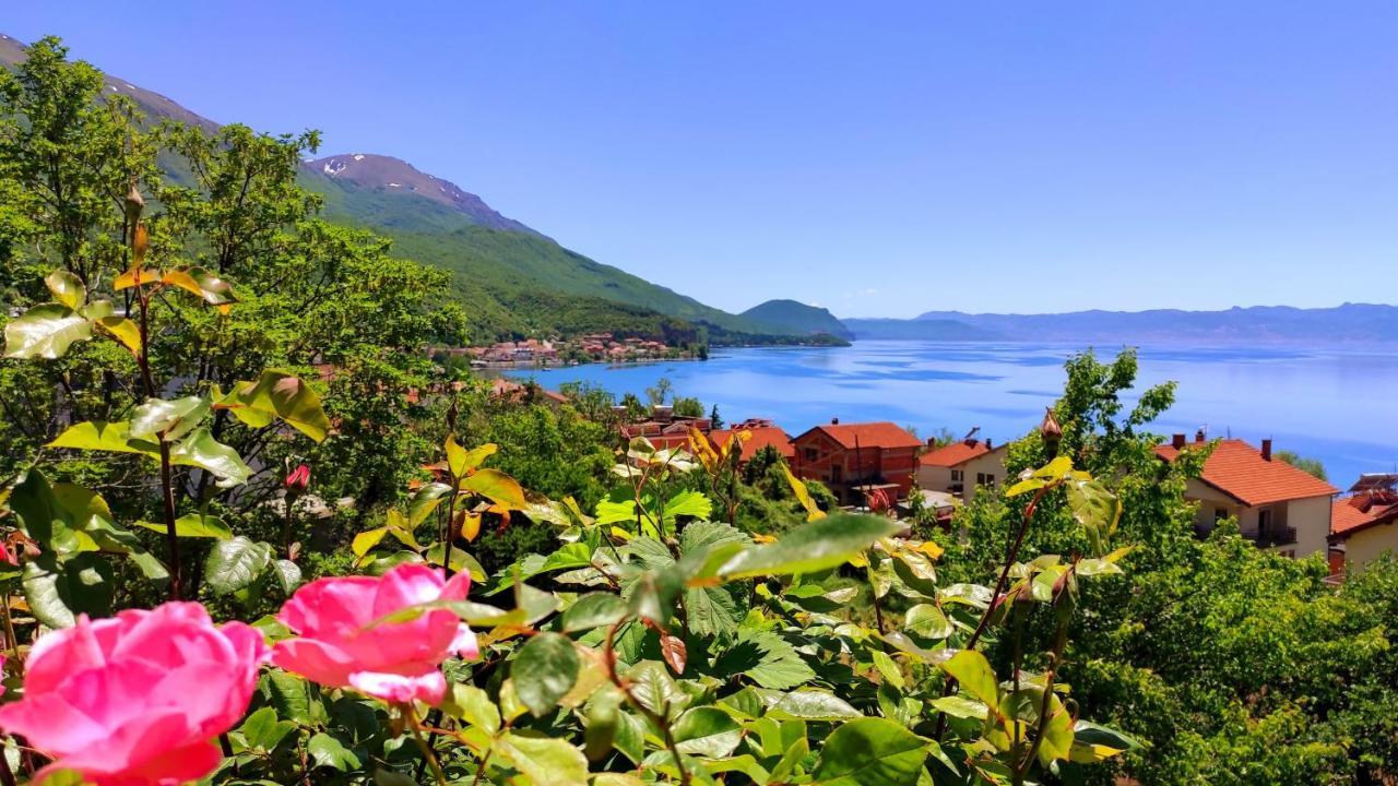 Villa Forest Paradise Ohrid Exteriör bild