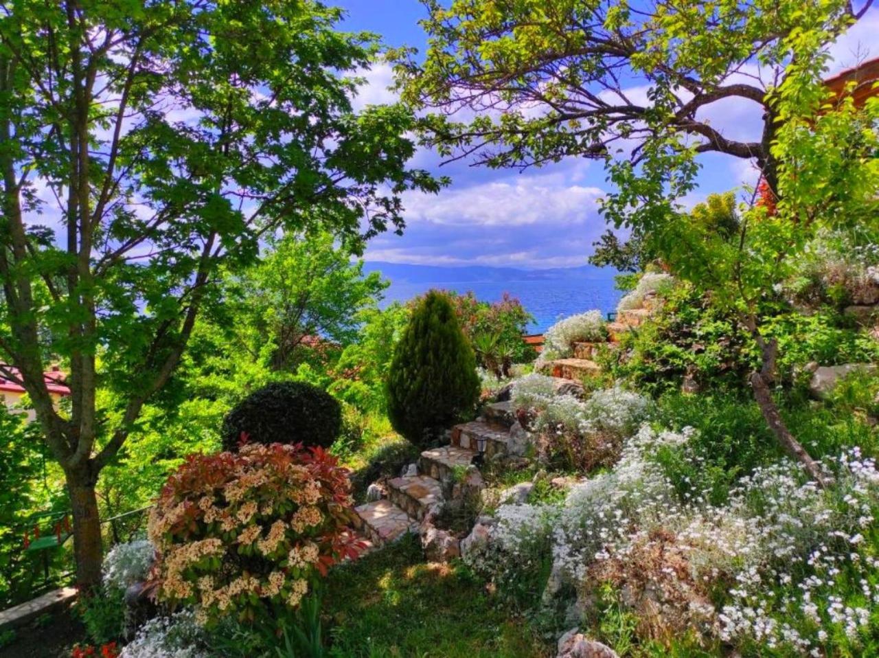 Villa Forest Paradise Ohrid Exteriör bild