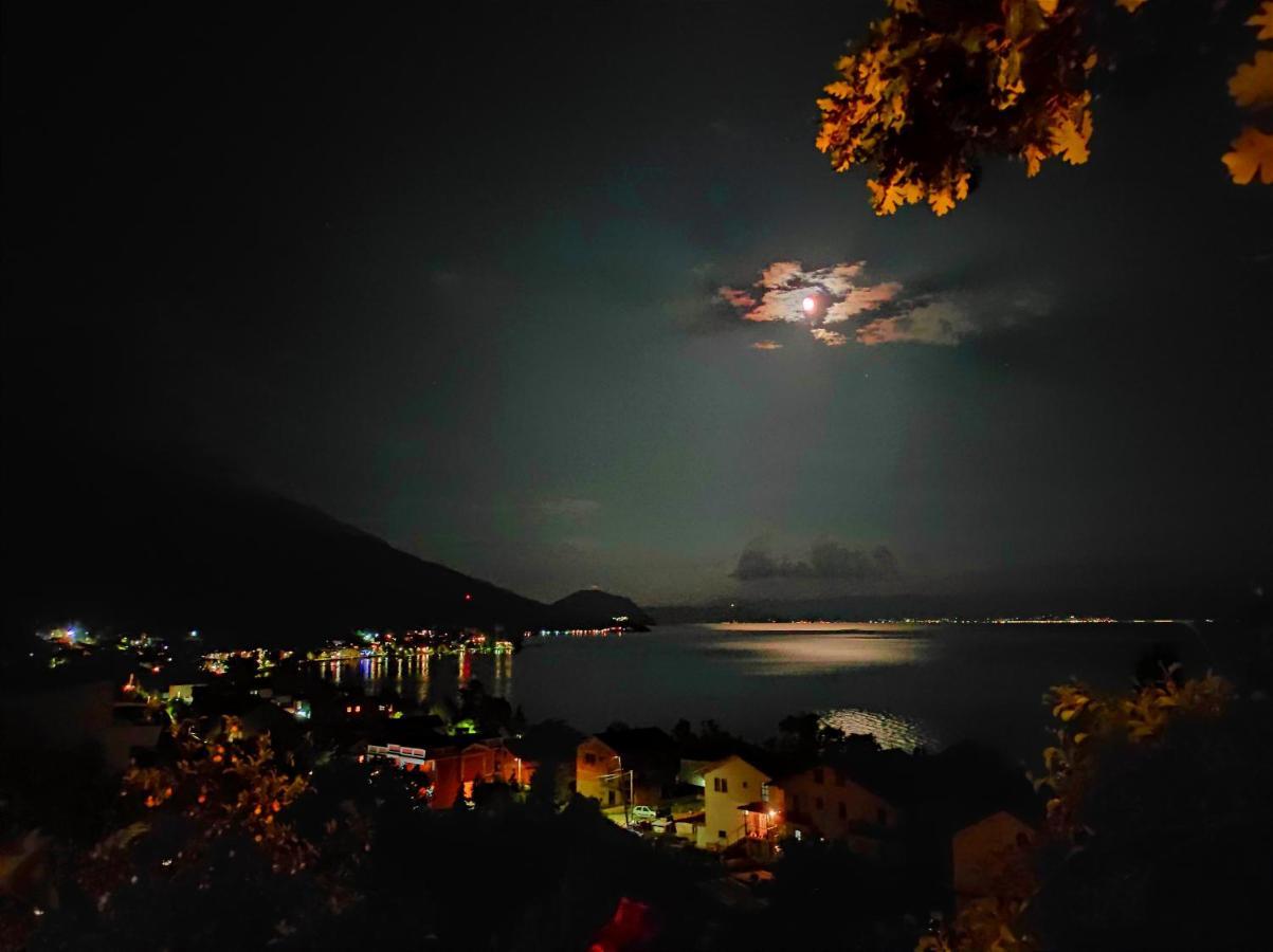 Villa Forest Paradise Ohrid Exteriör bild