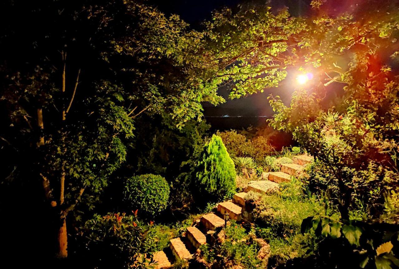 Villa Forest Paradise Ohrid Exteriör bild