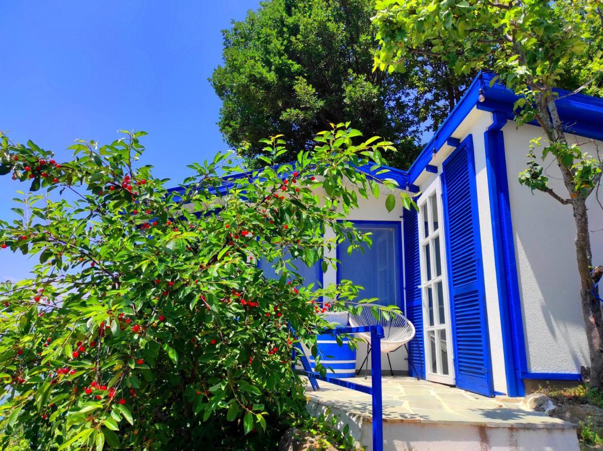 Villa Forest Paradise Ohrid Exteriör bild