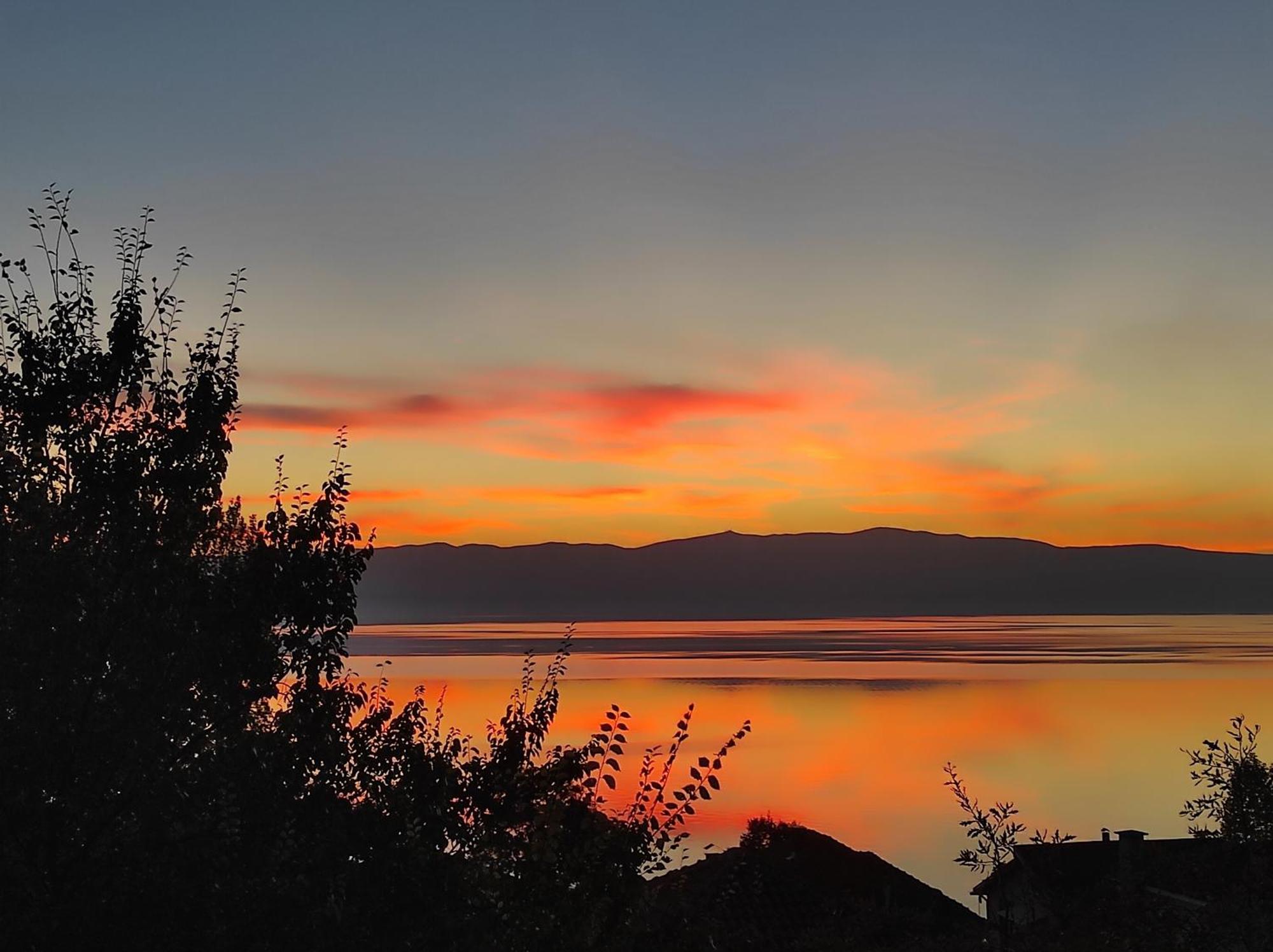 Villa Forest Paradise Ohrid Exteriör bild
