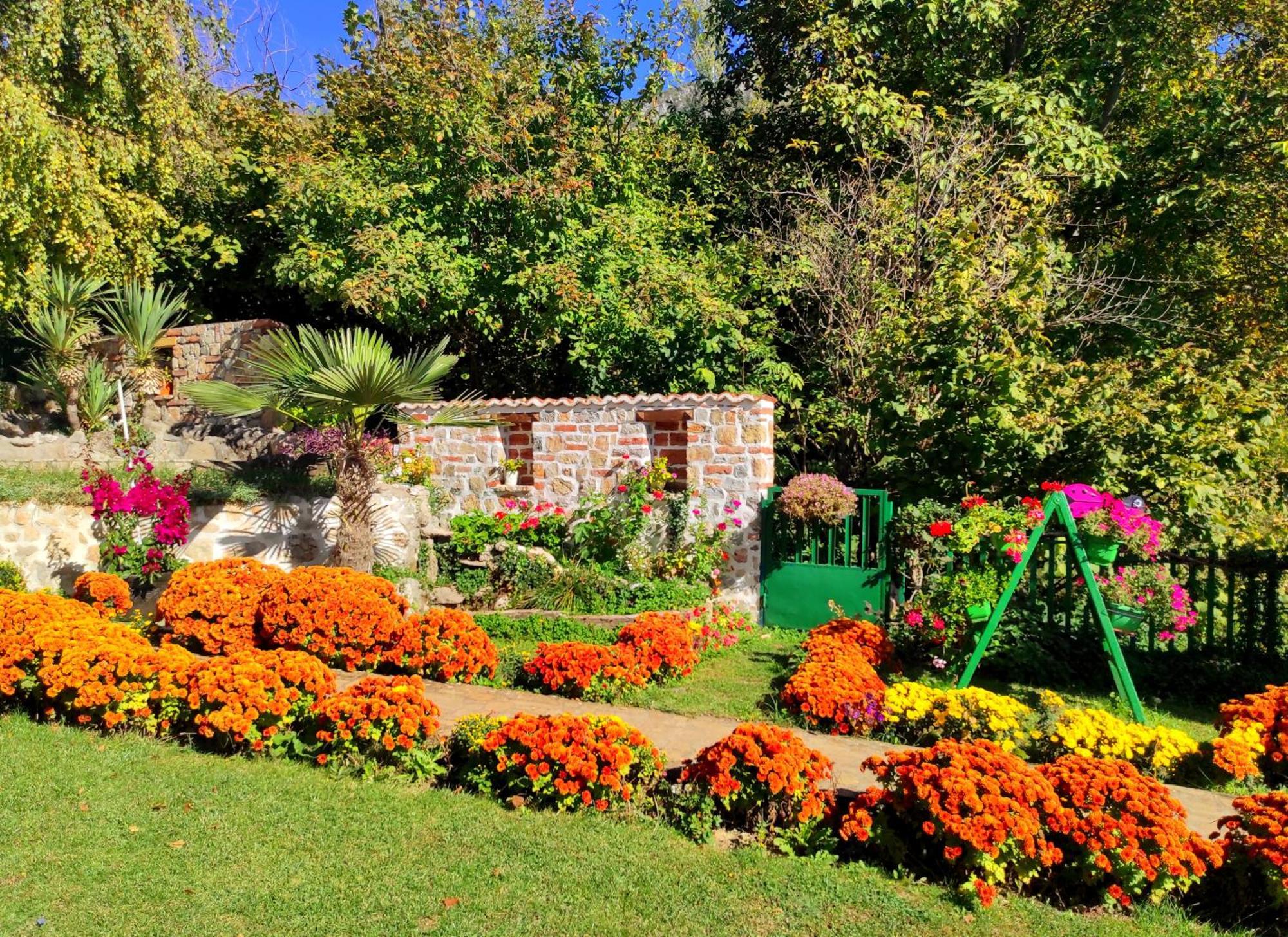 Villa Forest Paradise Ohrid Exteriör bild