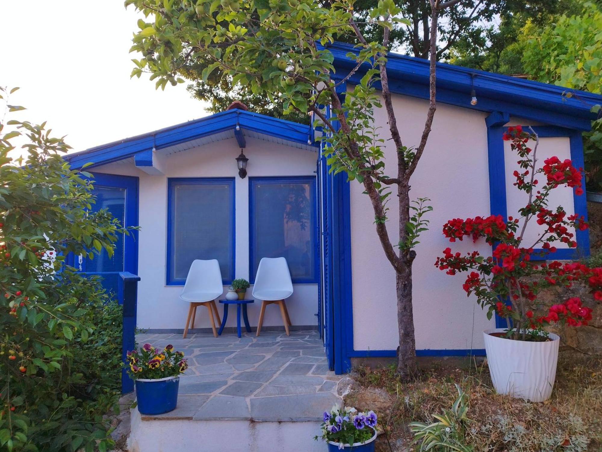 Villa Forest Paradise Ohrid Exteriör bild